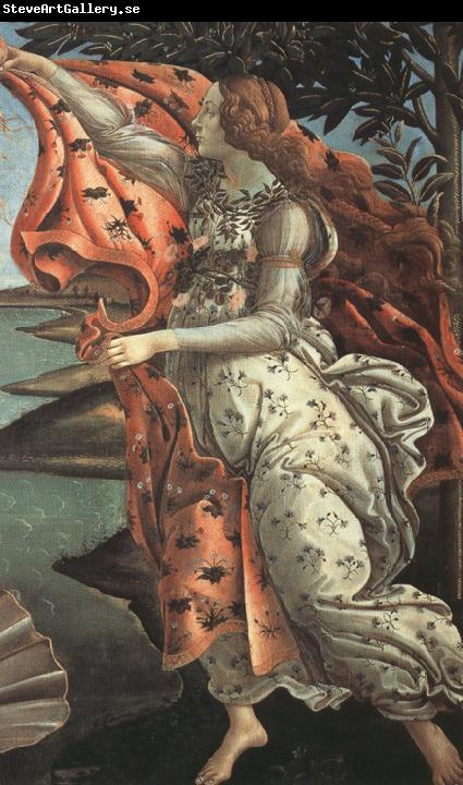 Sandro Botticelli The Birth of Venus (mk36)